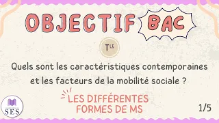 [BAC] Cours Mobilité Sociale - Les formes de mobilité sociale