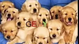 مهرجان او او او او جامد جدا 