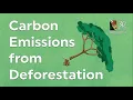 Carbon Emissions From Deforestation