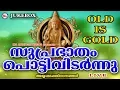 Lagu സുപ്രഭാതംപൊട്ടിവിടർന്നു | SuprabhathamPottividarnnu | Hindu Devotional Songs Malayalam |AyyappaSongs