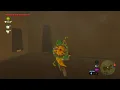How to get Link's House in Breath of the Wild - Hylian Homeowner | Austin John Plays