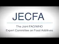 JECFA Evaluating the safety of food additives