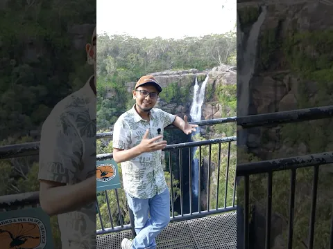 অস্ট্রেলিয়ার জঙ্গলের মাঝে এক অপূর্ব জলপ্রপাত