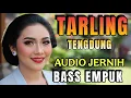 Download Lagu TARLING TENGDUNG MERDU BANGET_ LAGU TARLING NGEBASS EMPUK AUDIO NYA__ LAGU DAERAH PANTURA JAWA