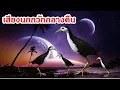 Download Lagu เสียงนกกวักกลางคืน ใช้ต่อกลางคืนได้ผลดีมาก