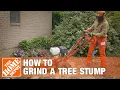 How To Grind A Tree Stump The Home Depot