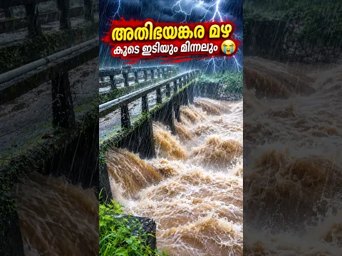 അതിഭയങ്കര മഴയും ഇടിയും മിന്നലും 😭⛈️🌩️ വെള്ളം കുത്തിയൊഴുകുന്നത് കണ്ടോ?എല്ലാവരും സുരക്ഷിതരായിരിക്കണേ