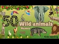 Download Lagu Wild animals for kids Learning | Children Educational video Animals live in forests