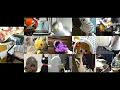 [HD]Love Live! OP [Sore wa Bokutachi no Kiseki] Band cover