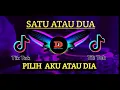 Lagu DJ 1 ATAU 2  PILIH AKU ATAU DIA TIK TOK TERBARU @DJ DAMIT OFFICIAL