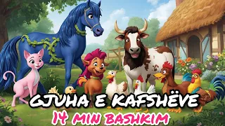 GJUHA E KAFSHËVE (10 këngë për fëmijë bashkim) - MACOKU TV