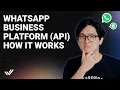 WhatsApp Business API Explained 2024