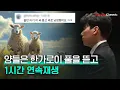 Download Lagu [1H] Bach / Petri - Sheep may safely graze, BWV 208  :: Pf. Changyong Shin :: Playlist
