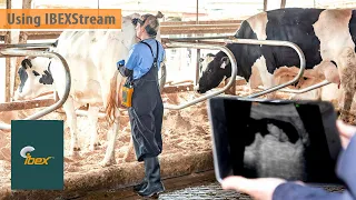 Using IbexStream with the Ibex Lite NXT Ultrasound