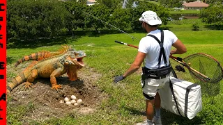 We Found GIANT IGUANAS NESTING in the HILLS with a Robot Ai Power Suit! **Ascentiz**