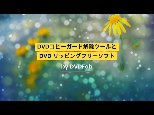 コピーガード解除ツール付き 21年最強のwindows10用dvd リッピングフリーソフト コピーガード解除ツール付き 21年最強のwindows10用dvd リッピングフリーソフト