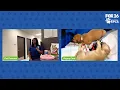 The Pet Pawcast - Join Houston SPCA s Foster Family