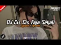 Download Lagu DJ Cis Cis Faja Sekali Mengkane ( Slowed + Reverb )🎧