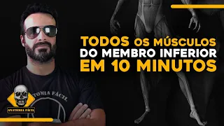 APRENDA TODOS OS MÚSCULOS DO MEMBRO INFERIOR EM 10 MINUTOS