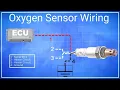 Oxygen Sensor Wiring Explained Car Fix