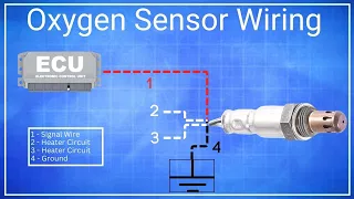 Oxygen Sensor Wiring Explained Car Fix