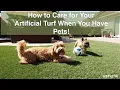 How to Care for Your Artificial Turf When You Have Pets