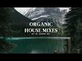 Download Lagu Organic House Mix #15 2023