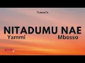 Nitadumu nae Yammi Ft Mbosso - Official Lyrics by TunesTz