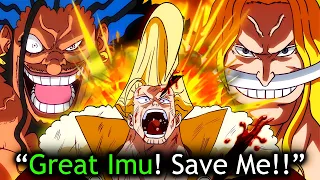 he embarrassed gods knights imu vs everyone begins one piece chapter 1162