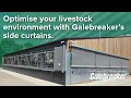 Optimise your livestock environment with Galebreaker s side curtains Galebreaker VVS Solutions
