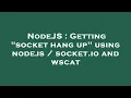 NodeJS Getting socket hang up using nodejs socket io and wscat