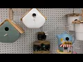 JoAnn s Has Lovely Home Decor A Wild Summer