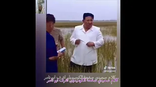 كيمو كلام صعيدي 