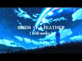 Download Lagu Billie Eilish - Birds Of A Feather ( edit audio )