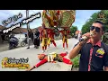 Download Lagu Dalang Viral ❗ NGAPLANG NGAPLANG VOC. RADIT ZONK - PUTRA NAFITA CAYA (PNC) || BABAKAN REDO