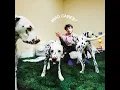 THE SHADE - Rex Orange County
