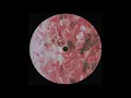 Lake People - Spark Eroded [MM214]