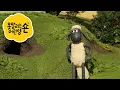 Lagu 숀 더쉽 🐑 🌾🎉 매일이 즐거운 농장 놀이 🐑 어린이 친화적 시리즈 - 숀 더쇼위츠