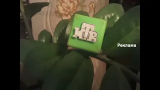 Моя версия Рекламные заставки НТВ со звуком 2003 