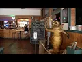 Gators Dockside Baymeadows to close