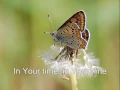 Download Lagu In His Time (with lyrics)