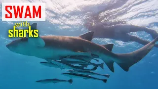 E231 – Cruising the Maldives | Beyond the Luxury Resorts