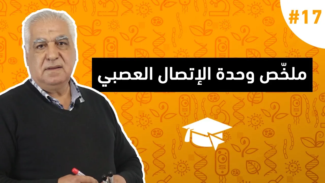 #17 ملخص شامل لوحدة التخصص الوظيفي للبروتينات في الاتصال العصبي