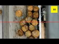 Coconut Counter Camera-based Coconuts Counting for Conveyor Belts with Machine Vision AI