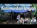 Lagu Camping berburu 4 hari di hutan manjul Kalimantan tengah