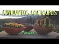 Download Lagu Beautiful cactus groups in Poruña