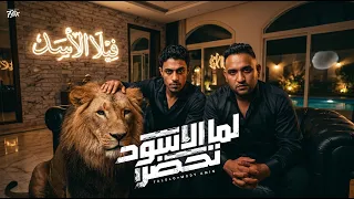 لما الاسود تحضر   انتو وقعتو مع وحوش   حلقولو   مودي امين   توزيع   قط كرموز   مهرجانات      دندنها