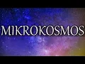Download Lagu Mikrokosmos - BTS (English Lyrics)