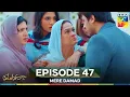 Download Lagu Mere Damad Episode 47