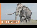 Download Lagu Europa tijdens de ijstijd - De epische transformatie van het Europese landschap | Volledige documentaire